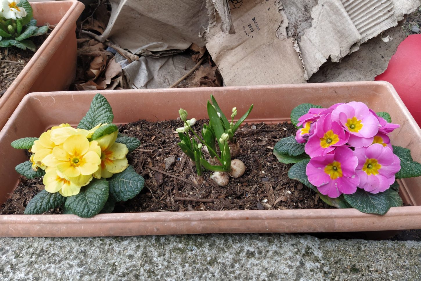 275680353_1680296308978459_6976847316848594548_n