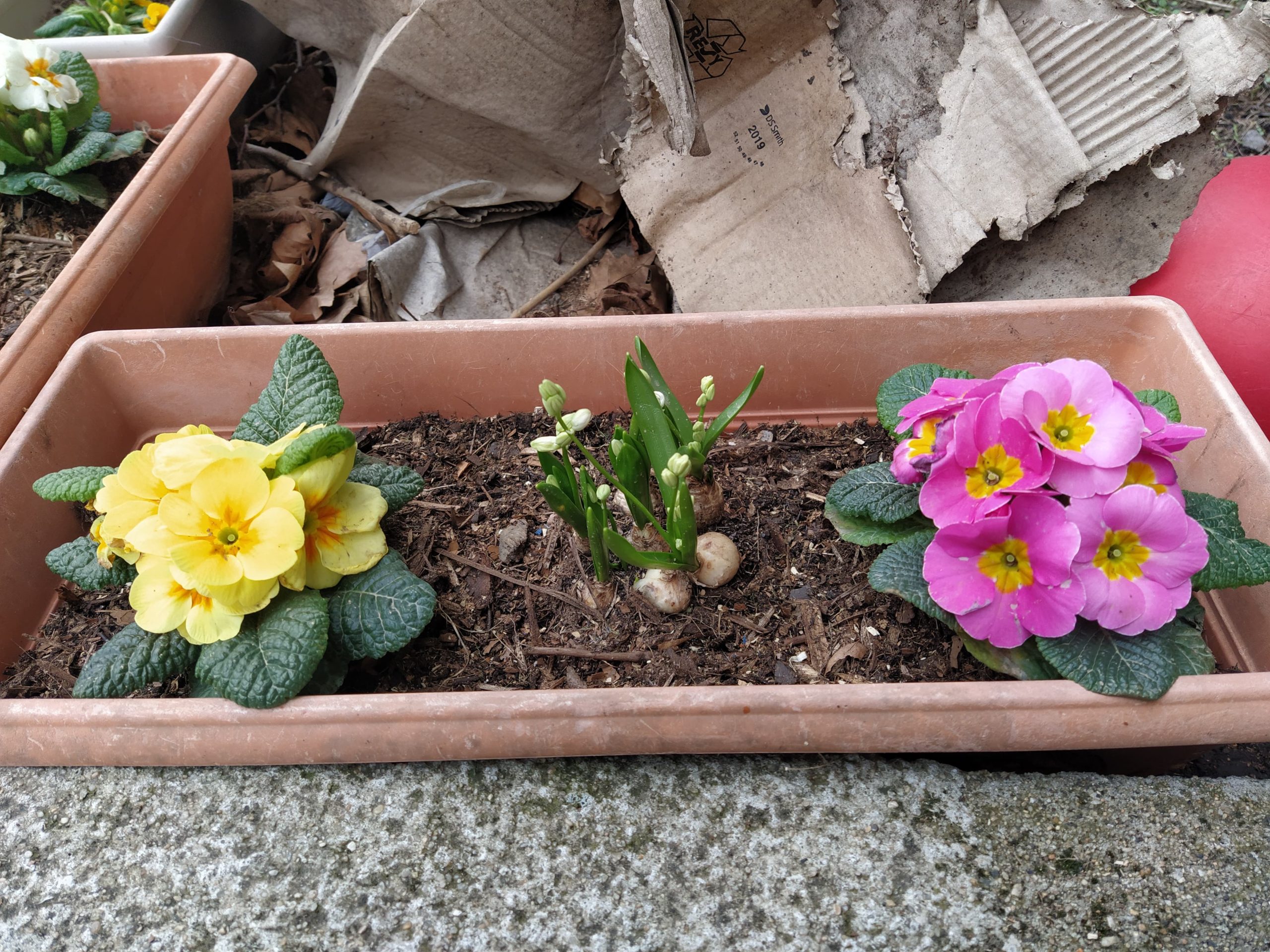 275680353_1680296308978459_6976847316848594548_n