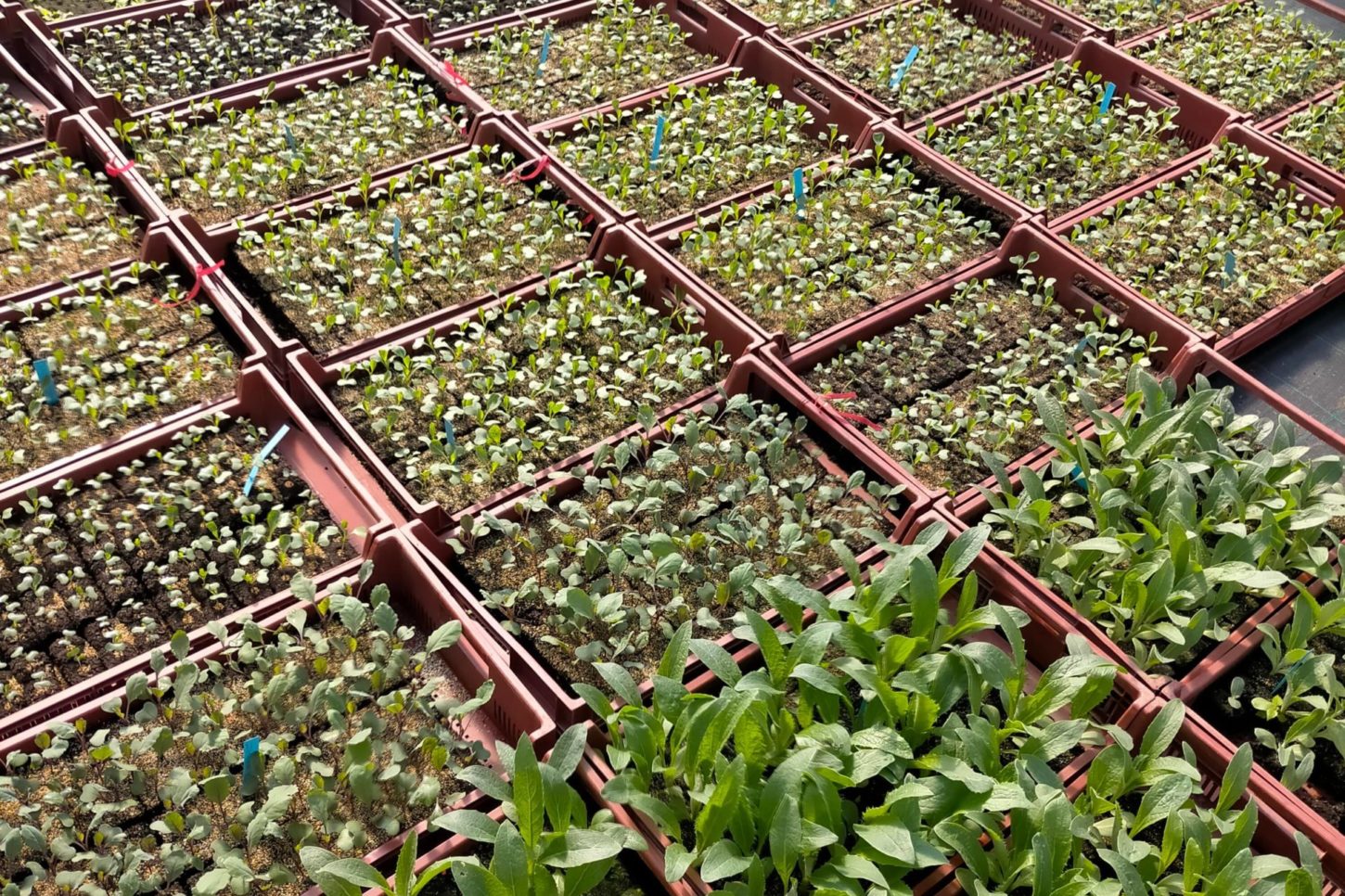 281200043_494064579181984_6757204140592790301_n