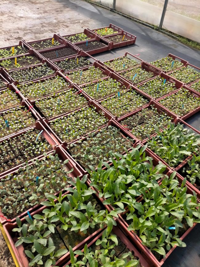 281200043_494064579181984_6757204140592790301_n