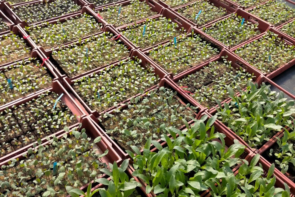 281200043_494064579181984_6757204140592790301_n